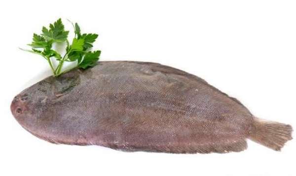 巴沙鱼片和龙利鱼片是同一种鱼吗