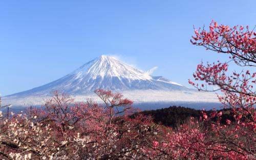 唤醒富士山计划#富士山五合目开放时间