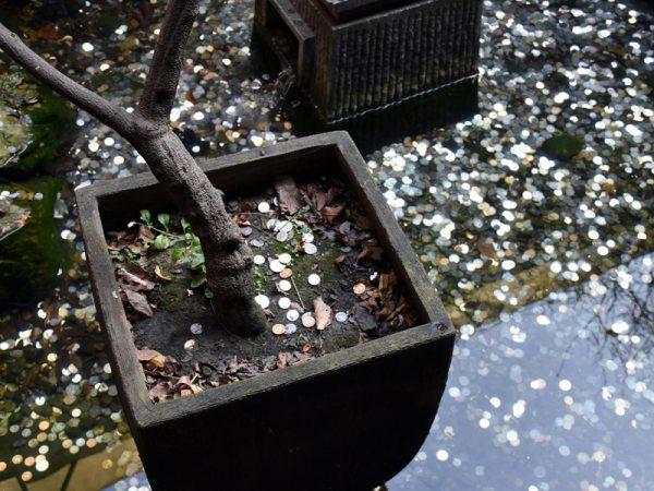 达拉然许愿池硬币全集#许愿池里的硬币有哪些