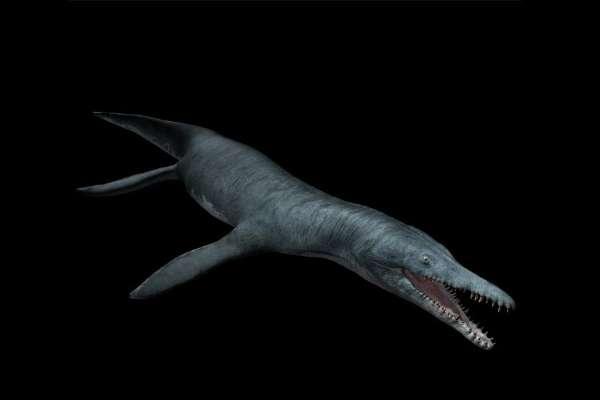 十大深海巨兽图片#十大深海神秘巨型生物