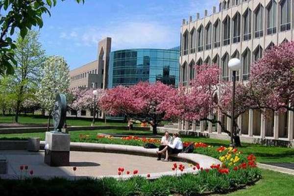 美国底特律大学排名#底特律现状2023