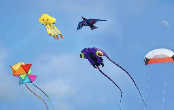 被遗弃的天角风筝#鹏羽天角风筝怎么获得