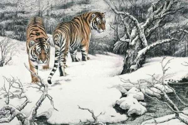 擅长画虎的是哪位画家#我国十大画家擅长画虎的