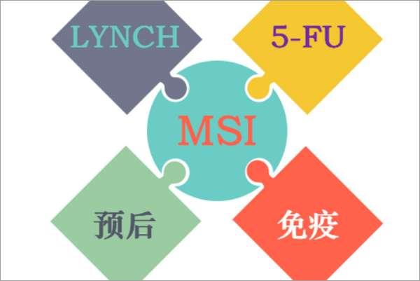 msi季中赛规则介绍#MSI是什么意思