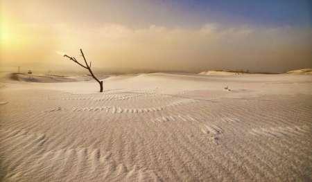 死亡之海的沙漠是哪一个#库布齐沙漠死亡之海原因
