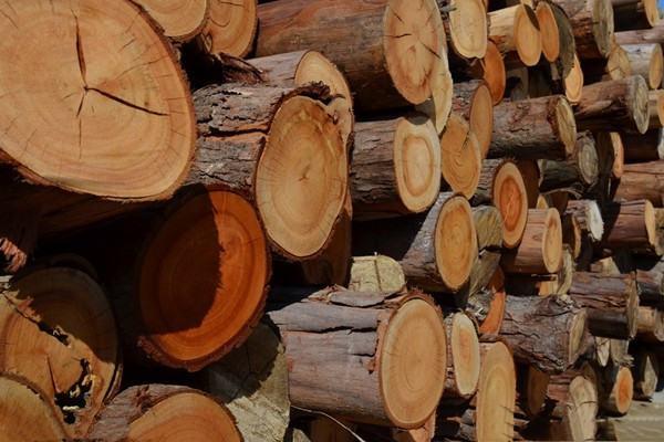 结云木材如何获得#冒险模式怎么获得木头