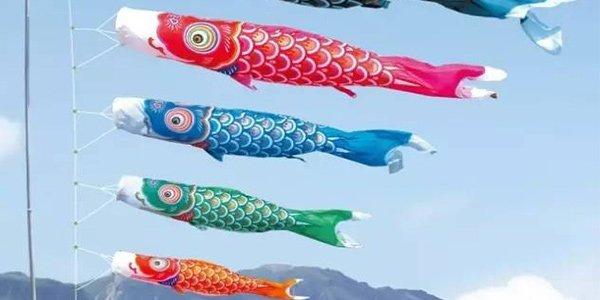 鲤鱼旗的含义和象征#日本的鲤鱼旗代表什么