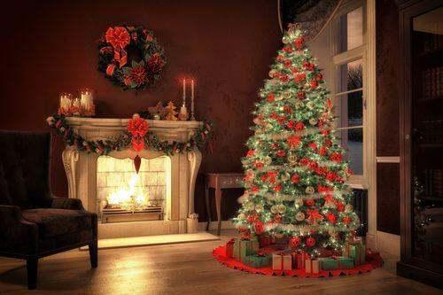 画圣诞树的软件是什么软件#画一个漂亮的圣诞树