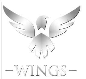wings夺冠是哪一年#老外评价wings夺冠
