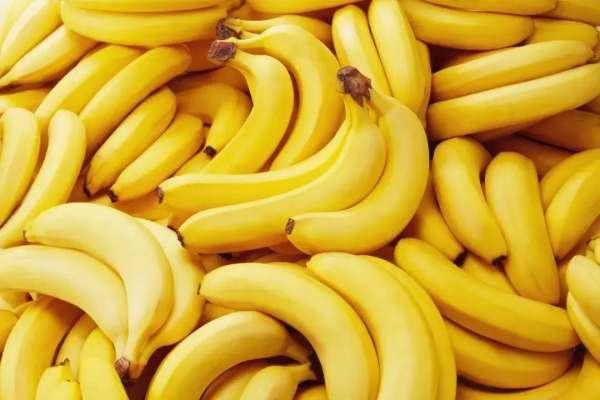 广东考试甘蔗香蕉#香蕉催熟方法22种