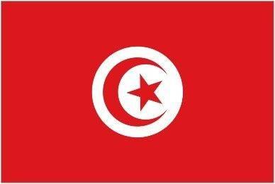 突尼斯地图位置世界地图#突尼斯人长相