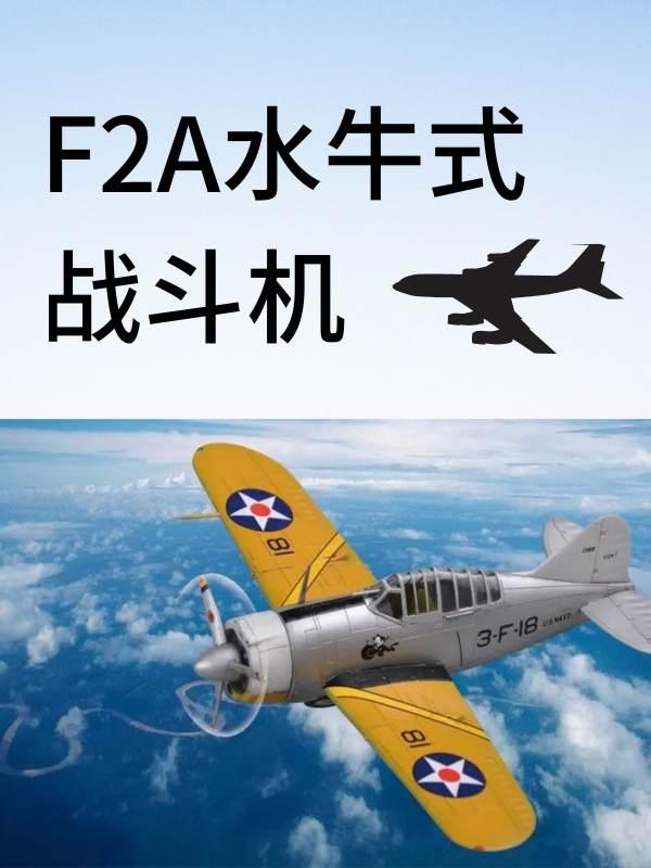 f22战斗机完美版#F2A战斗机