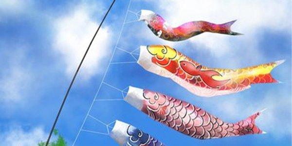 鲤鱼旗的含义和象征#日本的鲤鱼旗代表什么