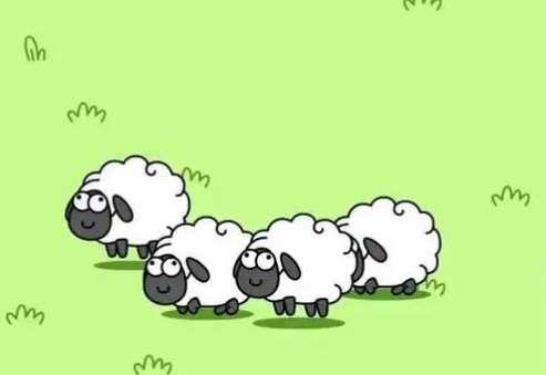 羊了个羊游戏攻略#玩羊了个羊通关技巧