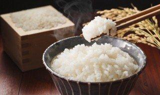 完全不吃米饭蚂蚁庄园#米饭不熟夹生可以吃吗