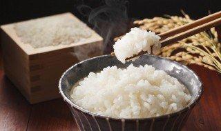完全不吃米饭蚂蚁庄园#米饭不熟夹生可以吃吗